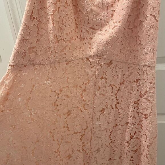 FAME & PARTNERS THE BABE PINK LACE GOWN DRESS sz US 4/ AUS 8 - Picture 5 of 8
